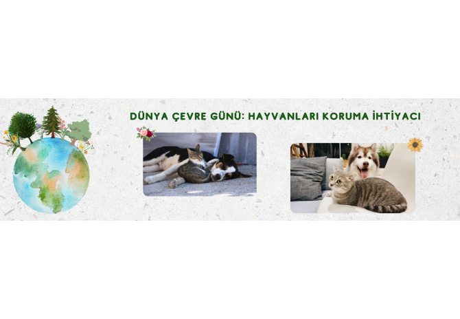 Dünya Çevre Günü: Hayvanları Koruma İhtiyacı