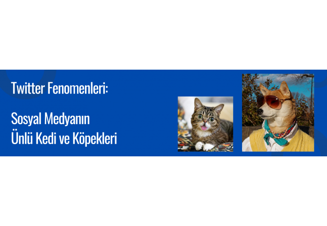 "Twitter Fenomenleri: Sosyal Medyanın Ünlü Kedi ve Köpekleri"