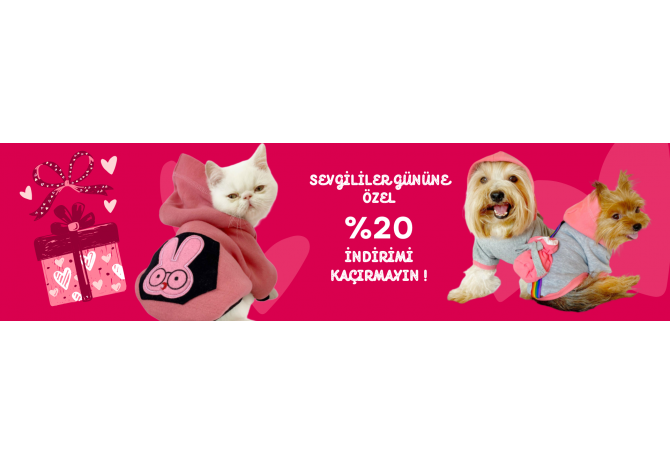 Sevgililer Gününde Köpeğime Ne Hediye Alabilirim?