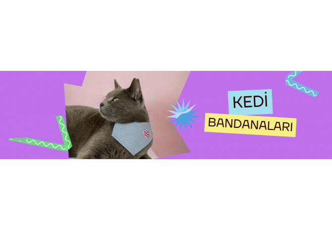 Kedi Bandaları