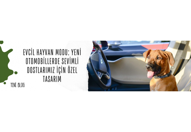 Evcil Hayvan Modu: Yeni Otomobillerde Sevimli Dostlarımız İçin Özel Tasarım