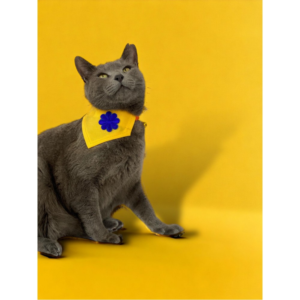 Yellow Blue Kedi Bandana, Fular, Kedi Kıyafeti Kedi Elbisesi, Kedi Tasması