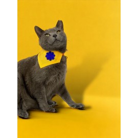 Yellow Blue Kedi Bandana, Fular, Kedi Kıyafeti Kedi Elbisesi, Kedi Tasması