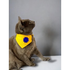 Yellow Blue Kedi Bandana, Fular, Kedi Kıyafeti Kedi Elbisesi, Kedi Tasması