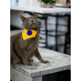 Yellow Blue Kedi Bandana, Fular, Kedi Kıyafeti Kedi Elbisesi, Kedi Tasması