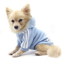 Baby Blue Adidog Kapşonlu Sweatshirt Köpek Kazağı