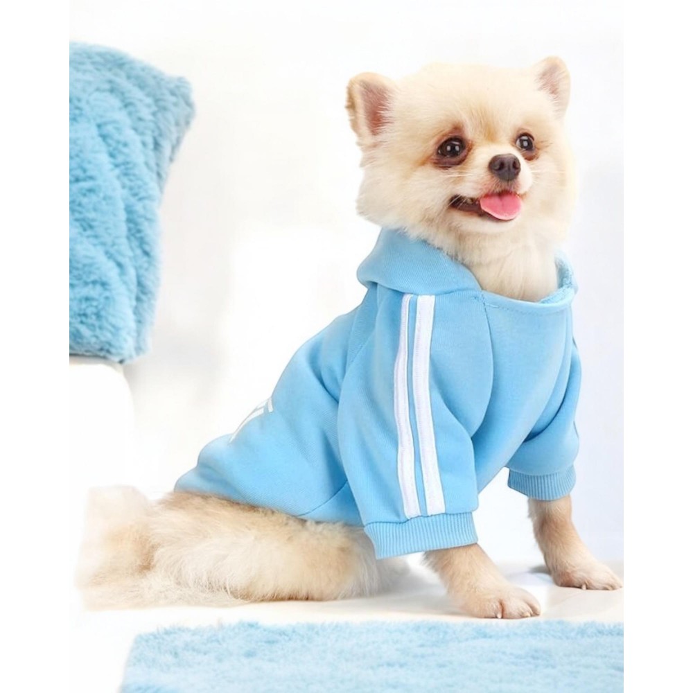 Baby Blue Adidog Kapşonlu Sweatshirt Köpek Kazağı