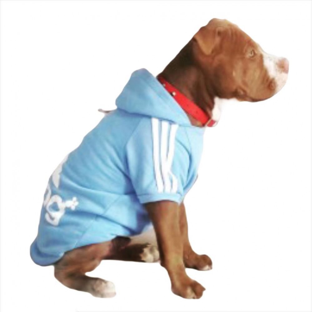 Baby Blue Adidog Kapşonlu Sweatshirt Orta ve Büyük Irklar İçin