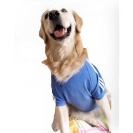 Baby Blue Adidog Kapşonlu Sweatshirt Orta ve Büyük Irklar İçin