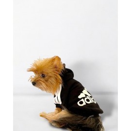 Black Adidog Kapşonlu Sweatshirt Köpek Kazağı