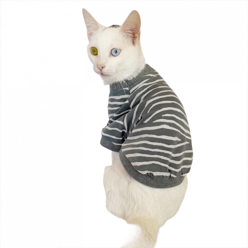 Grey Mist Oval Yaka Tişört Kedi Kıyafeti Kedi Elbisesi