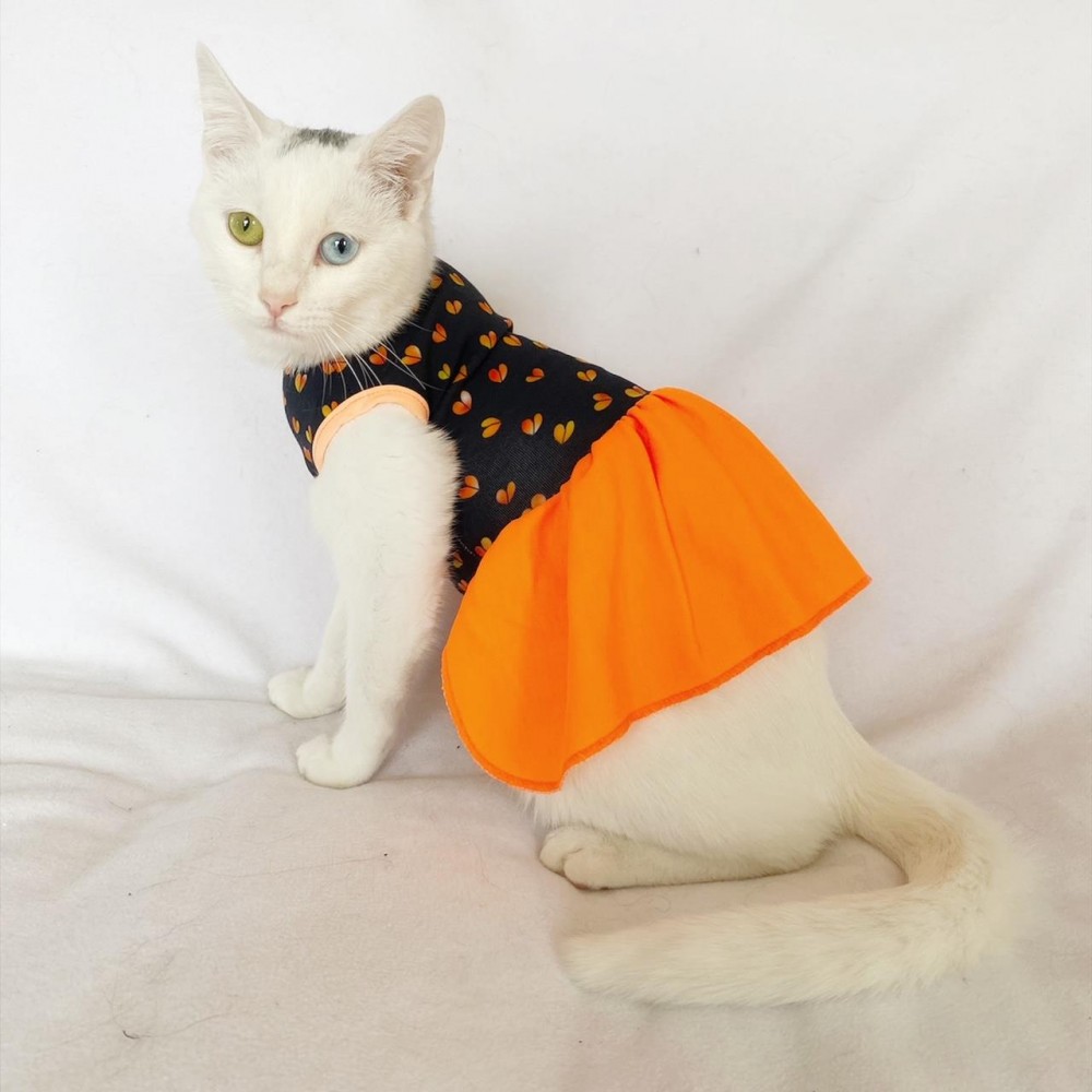 Hearts Orange Kedi Elbisesi Kedi Kıyafeti