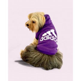 Mor Adidog Kapşonlu Sweatshirt Köpek Kazağı