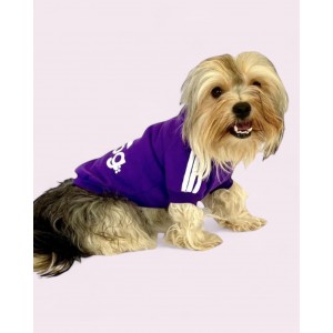 Mor Adidog Kapşonlu Sweatshirt Köpek Kazağı