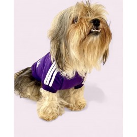 Mor Adidog Kapşonlu Sweatshirt Köpek Kazağı