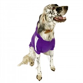 Adidog Purple Hoodie Kapşonlu Sweatshirt Orta ve Büyük Irklar İçin