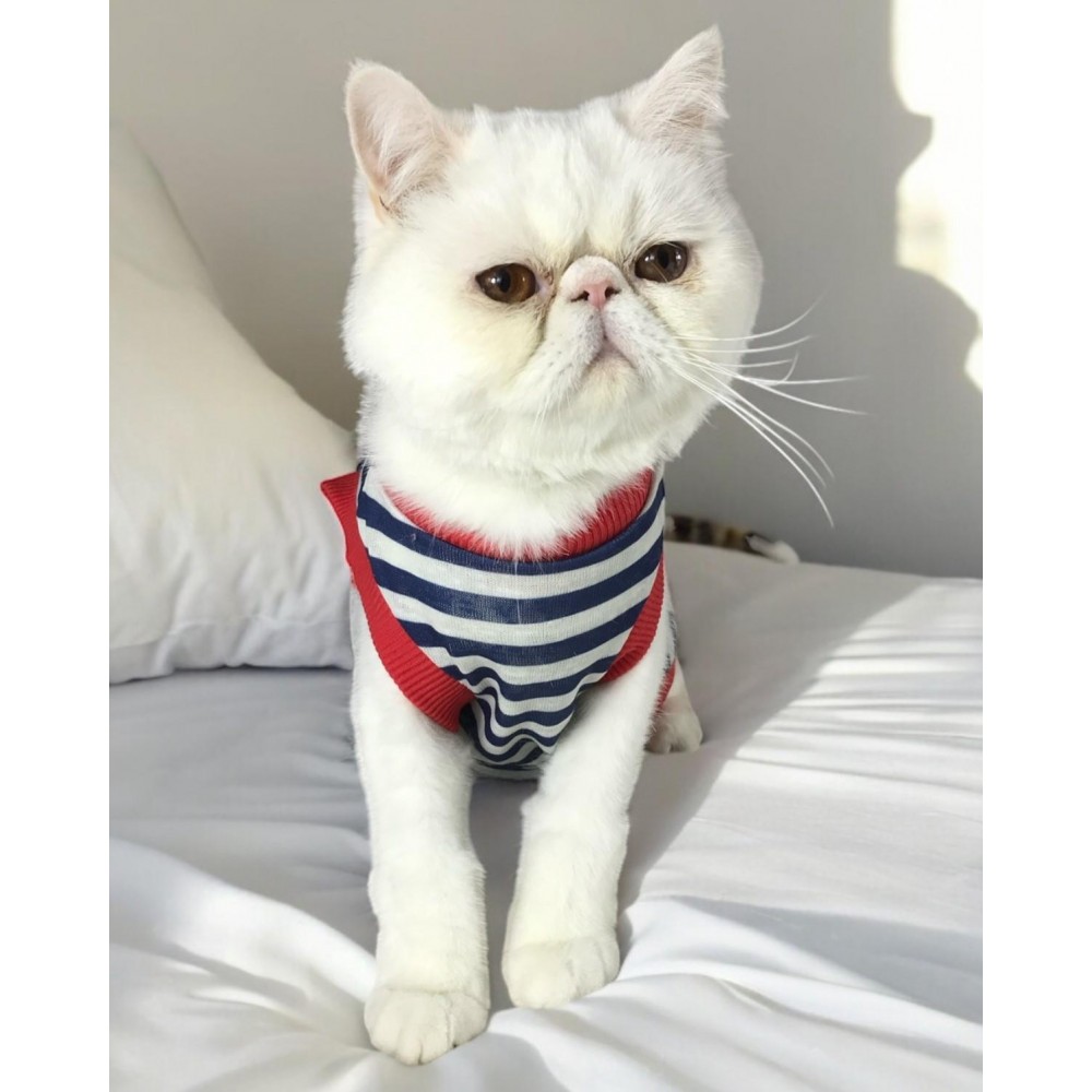 Nautical Summer Atlet Kedi Kıyafeti Kedi Elbisesi