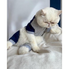 Navy Harmony Kalın Penye Kedi Tulum Pijama