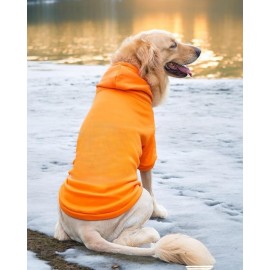 Orange Kapşonlu Sweatshirt, Orta ve Büyük Irklar İçin