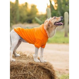 Orange Kapşonlu Sweatshirt, Orta ve Büyük Irklar İçin