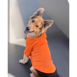 Orange Kapşonlu Sweatshirt, Orta ve Büyük Irklar İçin