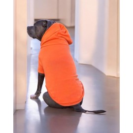 Orange Kapşonlu Sweatshirt, Orta ve Büyük Irklar İçin