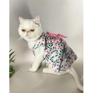 Petal Pink Kedi Elbisesi, Kıyafeti