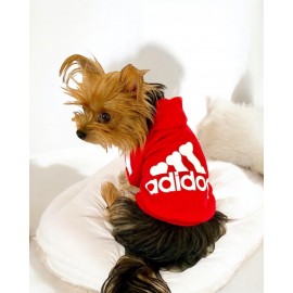 Red Adidog Kapşonlu Sweatshirt Köpek Kazağı