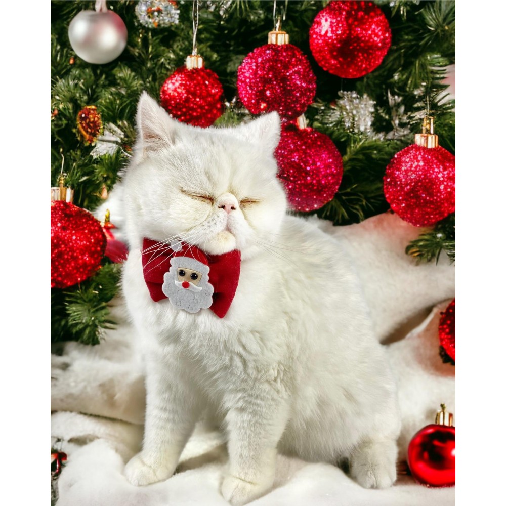 Santa Neo Kedi Papyonu Kurdela Tasma Yılbaşı Noel