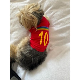 Uno Red Köpek Tişörtü